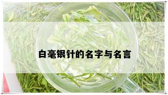 白毫银针的名字与名言