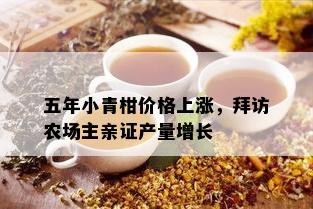 五年小青柑价格上涨，拜访农场主亲证产量增长