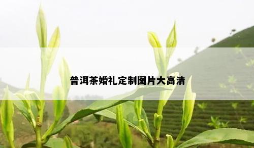 普洱茶婚礼定制图片大高清