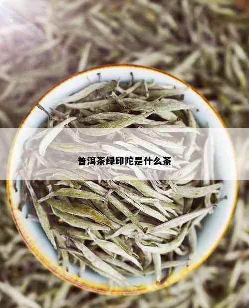 普洱茶绿印陀是什么茶