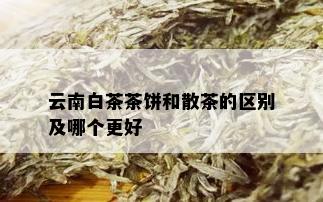 云南白茶茶饼和散茶的区别及哪个更好