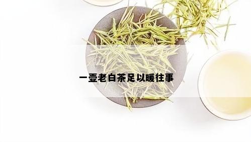 一壶老白茶足以暖往事