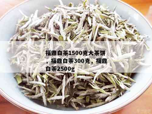 福鼎白茶1500克大茶饼，福鼎白茶300克，福鼎白茶2500g