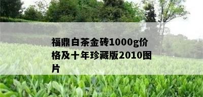 福鼎白茶金砖1000g价格及十年珍藏版2010图片