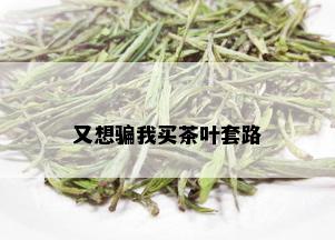 又想骗我买茶叶套路