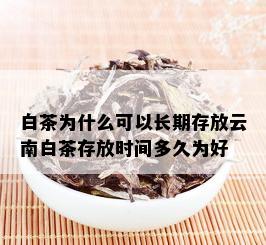 白茶为什么可以长期存放云南白茶存放时间多久为好