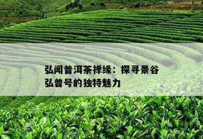 弘闻普洱茶禅缘：探寻景谷弘普号的独特魅力