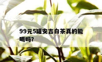 99元5罐安吉白茶真的能喝吗？