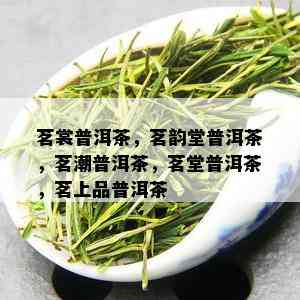 茗裳普洱茶，茗韵堂普洱茶，茗潮普洱茶，茗堂普洱茶，茗上品普洱茶