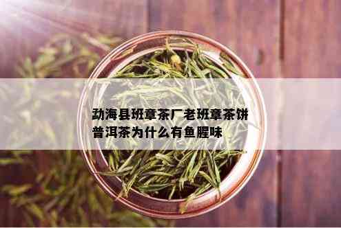 勐海县班章茶厂老班章茶饼普洱茶为什么有鱼腥味