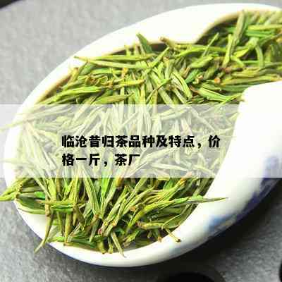 临沧昔归茶品种及特点，价格一斤，茶厂