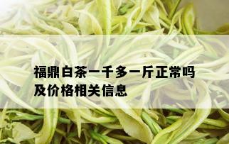 福鼎白茶一千多一斤正常吗及价格相关信息