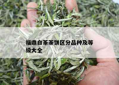 福鼎白茶茶饼区分品种及等级大全