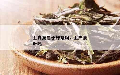 上白茶属于绿茶吗，上产茶叶吗