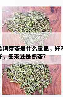 普洱芽茶是什么意思，好不好，生茶还是熟茶？