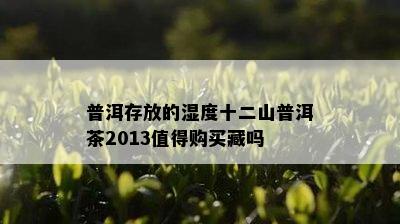 普洱存放的湿度十二山普洱茶2013值得购买藏吗