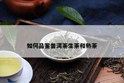 如何品鉴普洱茶生茶和熟茶