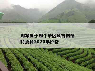 娜罕属于哪个茶区及古树茶特点和2020年价格