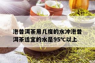 泡普洱茶用几度的水冲泡普洱茶适宜的水是95℃以上