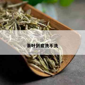 茶叶到底洗不洗