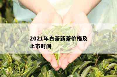 2021年白茶新茶价格及上市时间