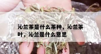 沁兰茶是什么茶种，沁兰茶叶，沁兰是什么意思