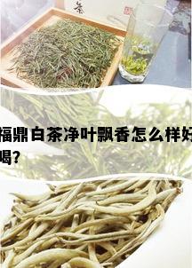 福鼎白茶净叶飘香怎么样好喝？