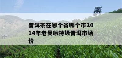 普洱茶在哪个省哪个市2014年老曼峨特级普洱市场价