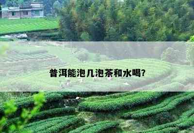 普洱能泡几泡茶和水喝？