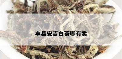 丰县安吉白茶哪有卖