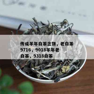 传成羊年白茶念饼，老白茶9716，9018羊年老白茶，9318白茶