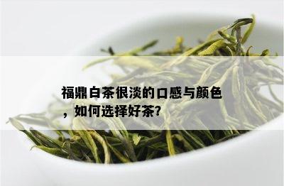 福鼎白茶很淡的口感与颜色，如何选择好茶？