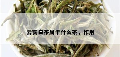 云雾白茶属于什么茶，作用