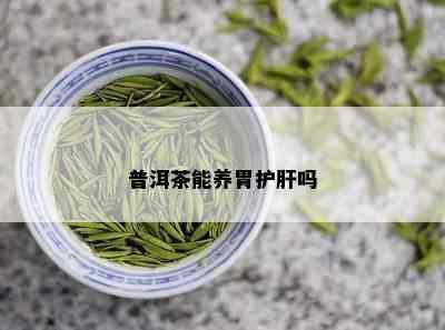 普洱茶能养胃护肝吗