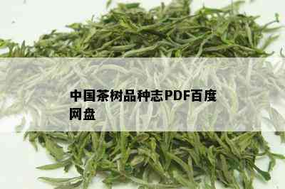 中国茶树品种志PDF百度网盘