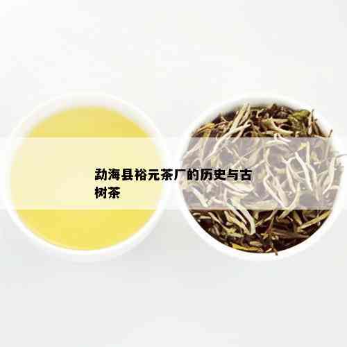 勐海县裕元茶厂的历史与古树茶