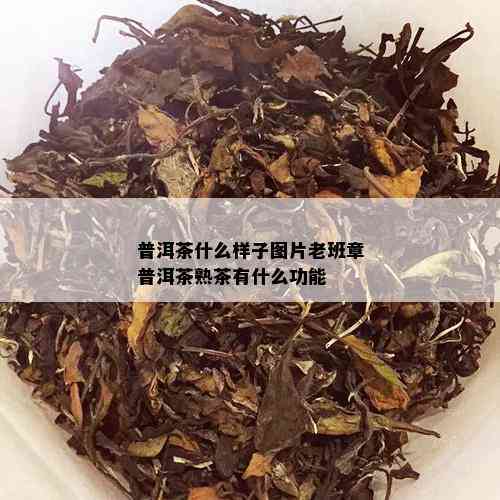 普洱茶什么样子图片老班章普洱茶熟茶有什么功能