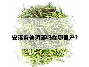 安溪有普洱茶吗在哪里产？