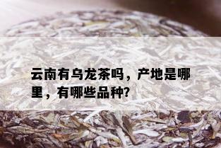 云南有乌龙茶吗，产地是哪里，有哪些品种？