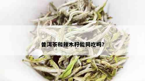 普洱茶和辣木籽能同吃吗？