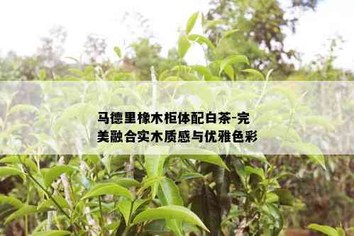 马德里橡木柜体配白茶-完美融合实木质感与优雅色彩