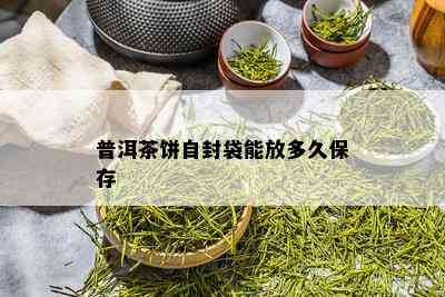 普洱茶饼自封袋能放多久保存