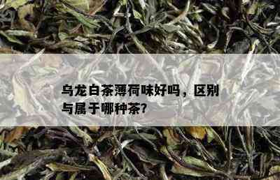 乌龙白茶薄荷味好吗，区别与属于哪种茶？