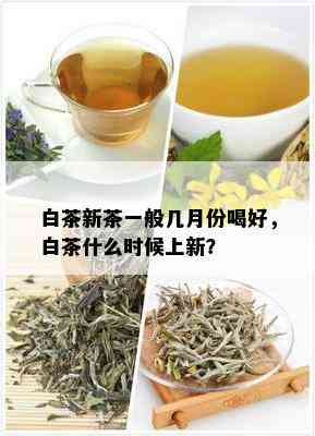 白茶新茶一般几月份喝好，白茶什么时候上新？