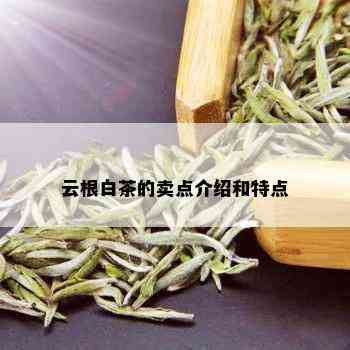 云根白茶的卖点介绍和特点