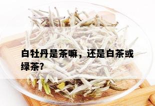 白牡丹是茶嘛，还是白茶或绿茶？