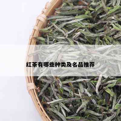 红茶有哪些种类及名品推荐