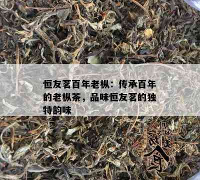 恒友茗百年老枞：传承百年的老枞茶，品味恒友茗的独特韵味