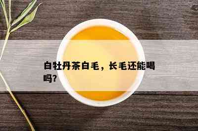 白牡丹茶白毛，长毛还能喝吗？