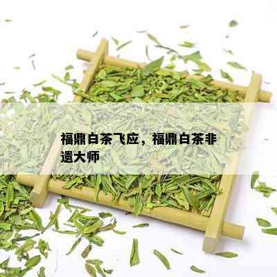 福鼎白茶飞应，福鼎白茶非遗大师